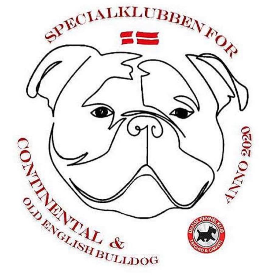 OCD | for English Bulldog