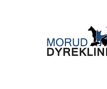 Morud Dyreklinik